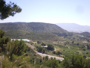 david-sierra-espuna