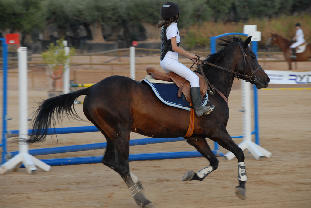 Download Learn to Horse Ride and Jump in Murcia, Corvera ...