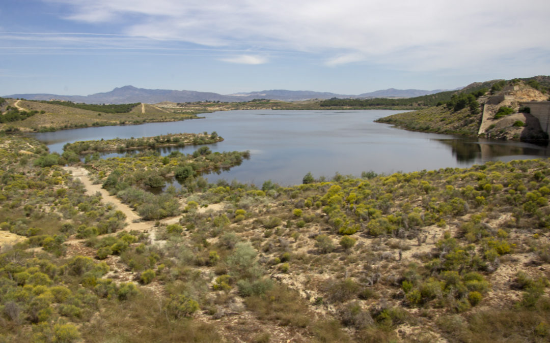 Embalse de Santomera
